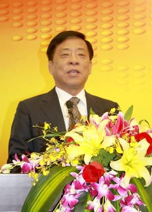 严冰（国家开放大学副校长）