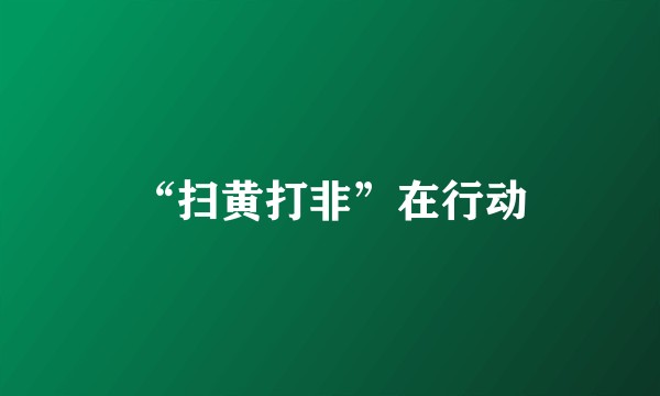 “扫黄打非”在行动