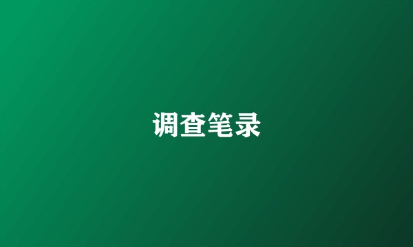 调查笔录