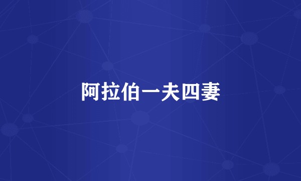 阿拉伯一夫四妻