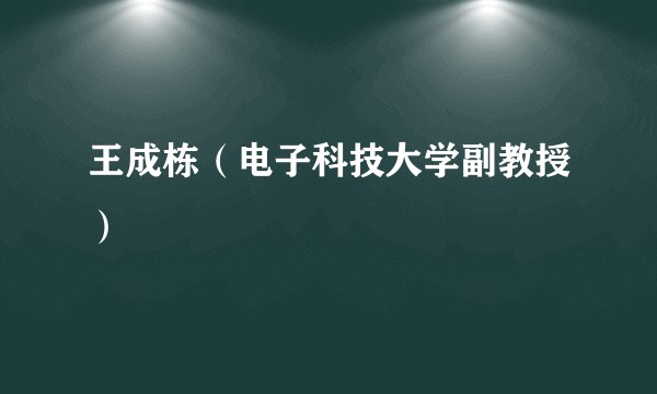 王成栋(电子科技大学副教授)
