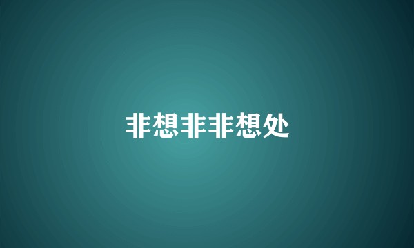 非想非非想处