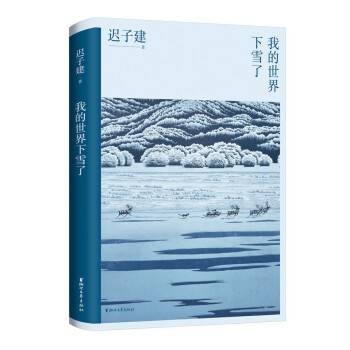 我的世界下雪了(2022年浙江文艺出版社出版的图书)