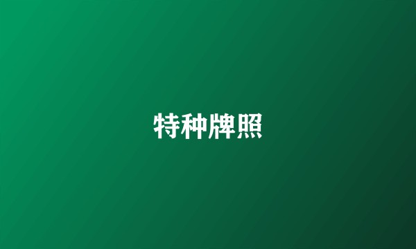 特种牌照