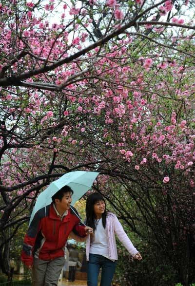 春雨绵绵(舒婷创作的现代诗歌)