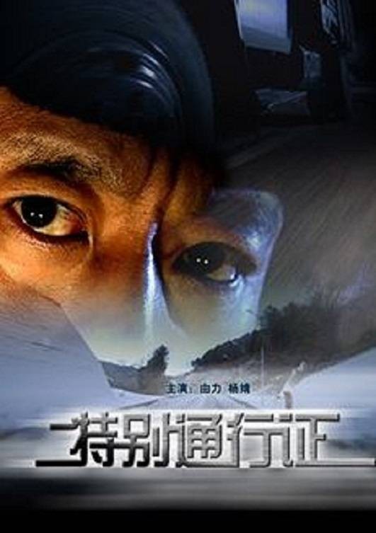 特别通行证(2008年罗亮、和群、大公执导执导的电影)