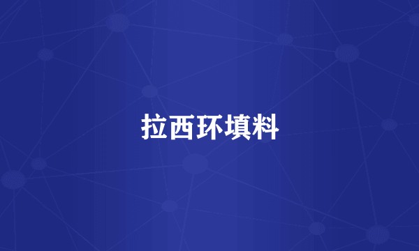 拉西环填料