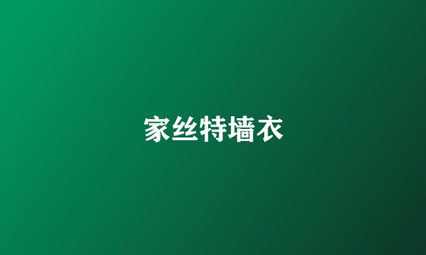家丝特墙衣