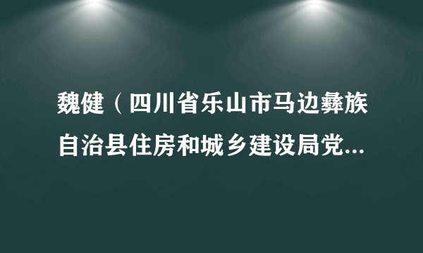 魏健(四川省乐山市马边彝族自治县住房和城乡建设局党组成员、总工程师、住保中心主任)