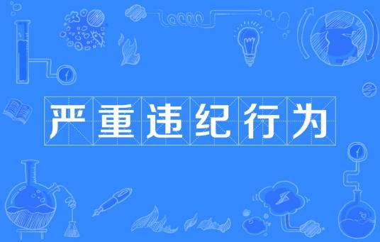 严重违纪行为