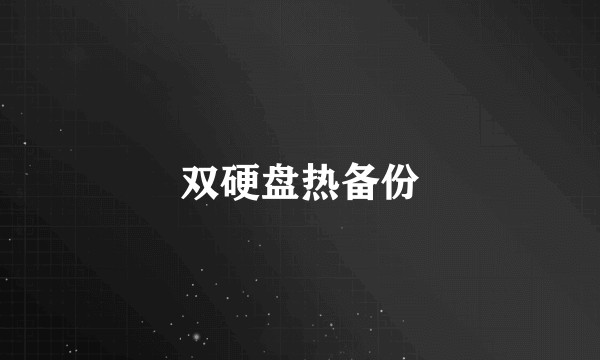 双硬盘热备份