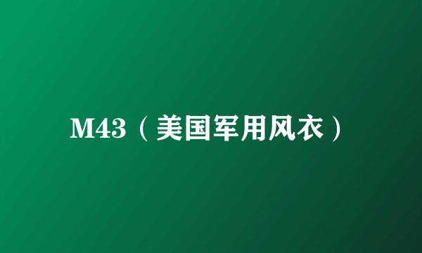 M43（美国军用风衣）