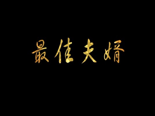 最佳夫婿（2009年朱克荣执导的电影）