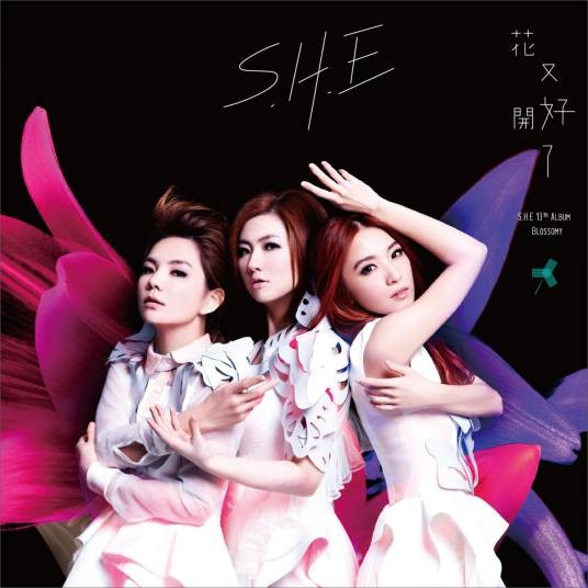后来后来（S.H.E演唱的歌曲）