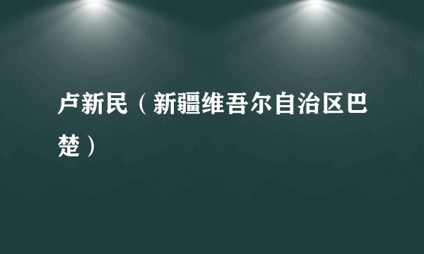 卢新民（新疆维吾尔自治区巴楚）