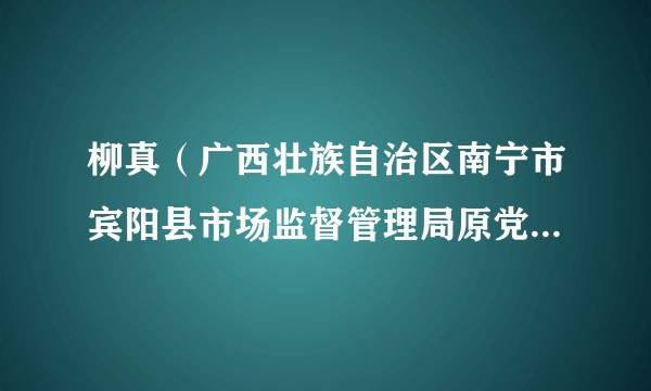柳真（广西壮族自治区南宁市宾阳县市场监督管理局原党组成员、原副局长（正科长级））