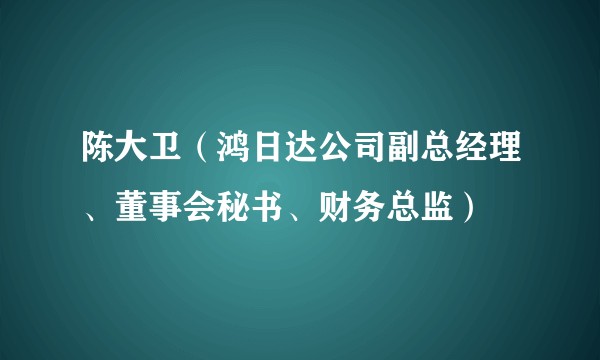 陈大卫（鸿日达公司副总经理、董事会秘书、财务总监）