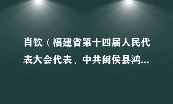 肖钦（福建省第十四届人民代表大会代表、中共闽侯县鸿尾乡党委书记、一级主任科员）