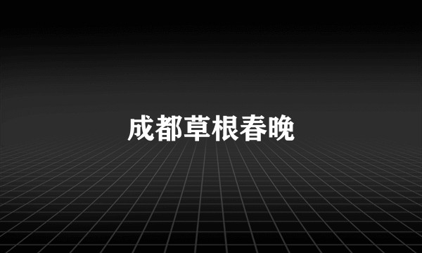 成都草根春晚