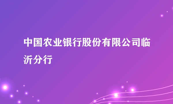 中国农业银行股份有限公司临沂分行
