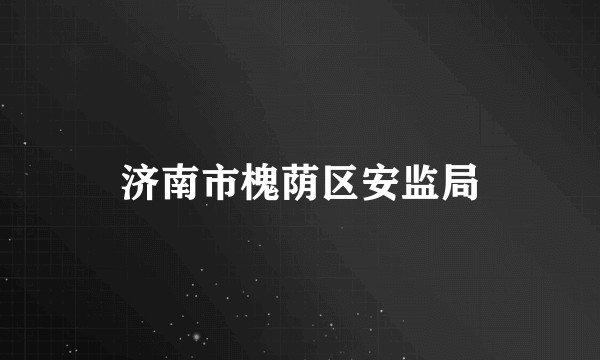 济南市槐荫区安监局