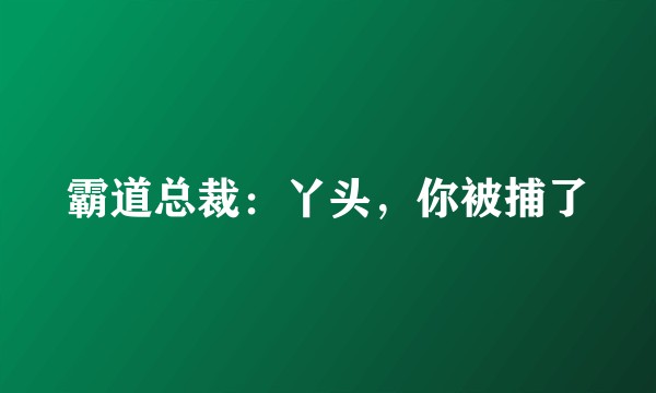 霸道总裁：丫头，你被捕了