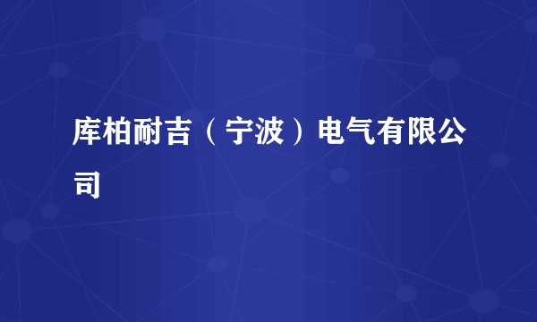 库柏耐吉（宁波）电气有限公司