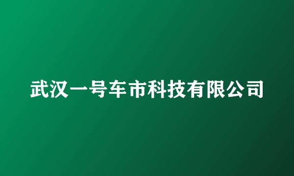 武汉一号车市科技有限公司