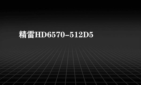 精雷HD6570-512D5