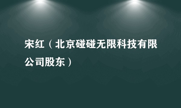 宋红（北京碰碰无限科技有限公司股东）