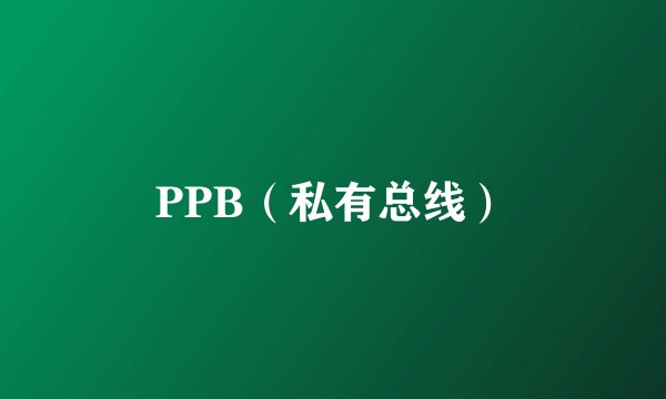 PPB（私有总线）
