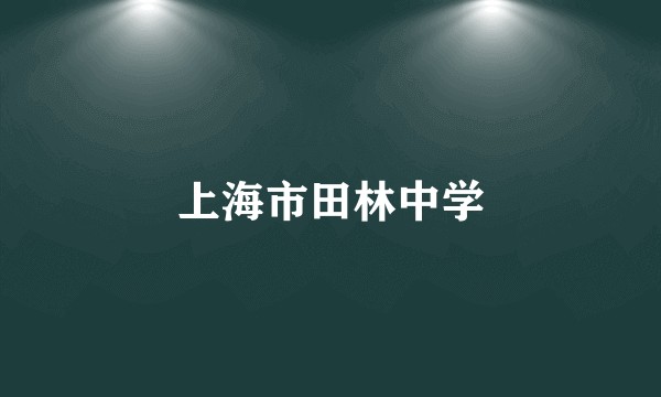 上海市田林中学