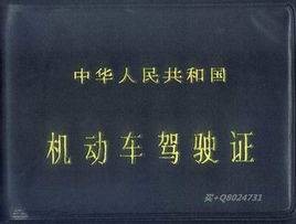 驾龄