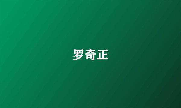 罗奇正