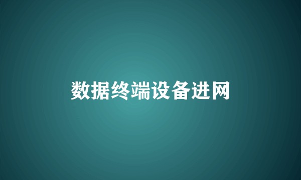 数据终端设备进网