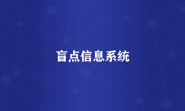 盲点信息系统