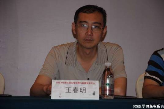 王春明（二朗拳师）