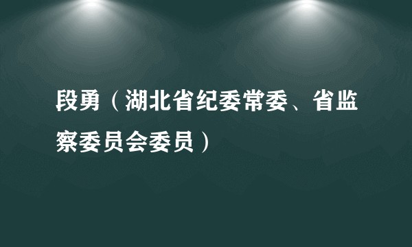 段勇（湖北省纪委常委、省监察委员会委员）