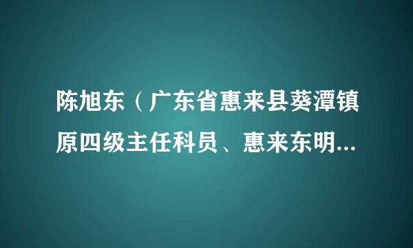 陈旭东（广东省惠来县葵潭镇原四级主任科员、惠来东明医院原实际控制人）