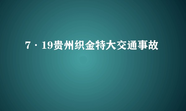 7·19贵州织金特大交通事故