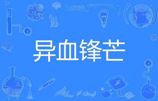 异血锋芒