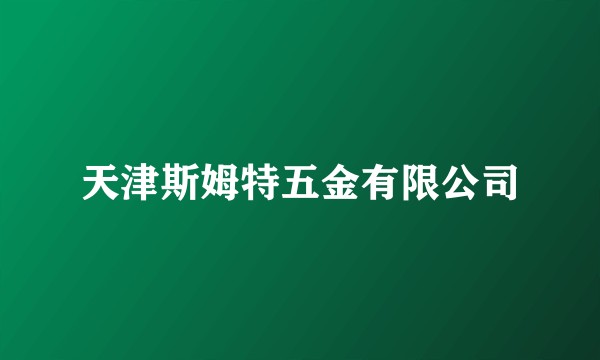 天津斯姆特五金有限公司