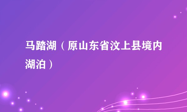 马踏湖（原山东省汶上县境内湖泊）
