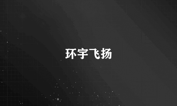 环宇飞扬