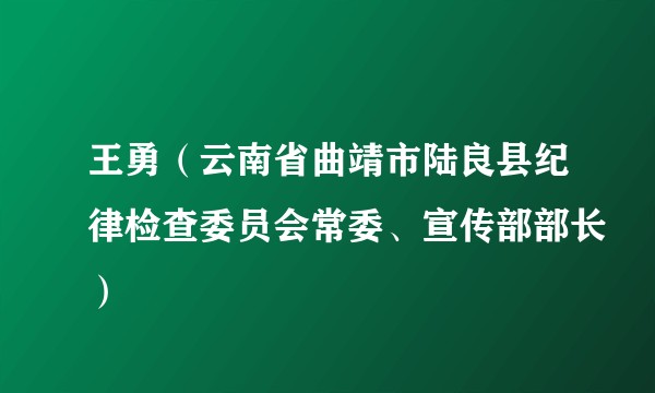 王勇（云南省曲靖市陆良县纪律检查委员会常委、宣传部部长）