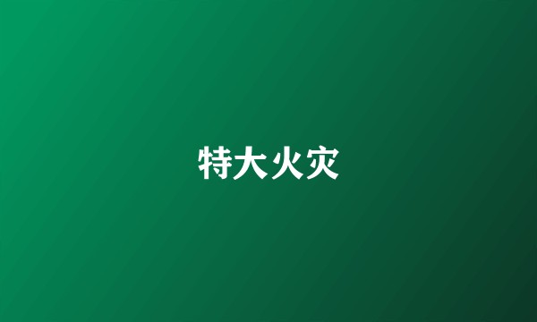 特大火灾