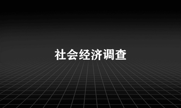社会经济调查