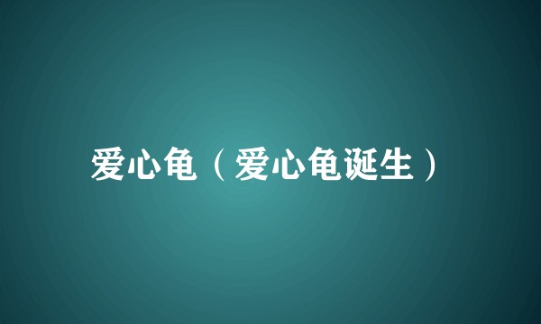 爱心龟（爱心龟诞生）