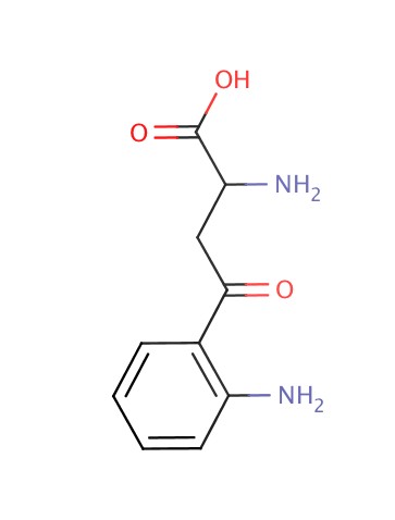 犬尿氨酸
