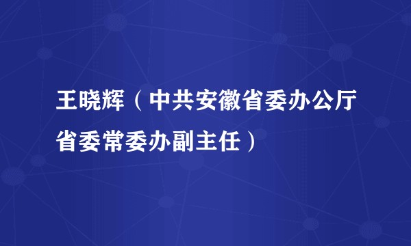 王晓辉（中共安徽省委办公厅省委常委办副主任）